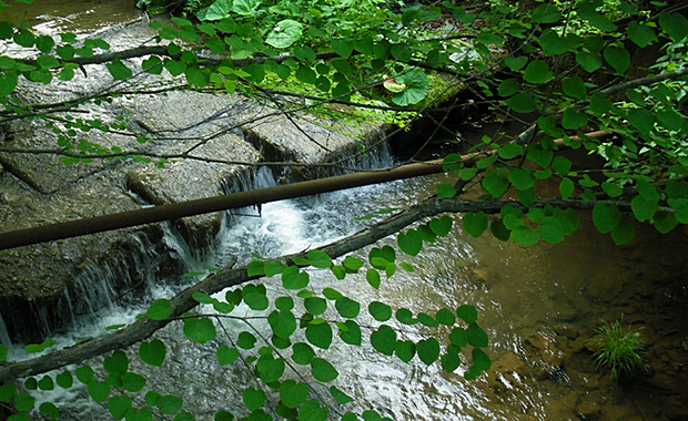 Oyunuma River