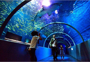 Noboribetsu Marine Park Nixe　(aquarium)