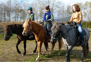 Noboribetsu Horse Park Yushun