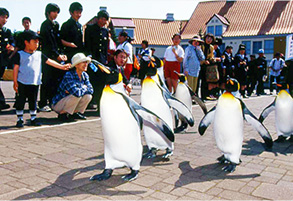 Muroran Aquarium